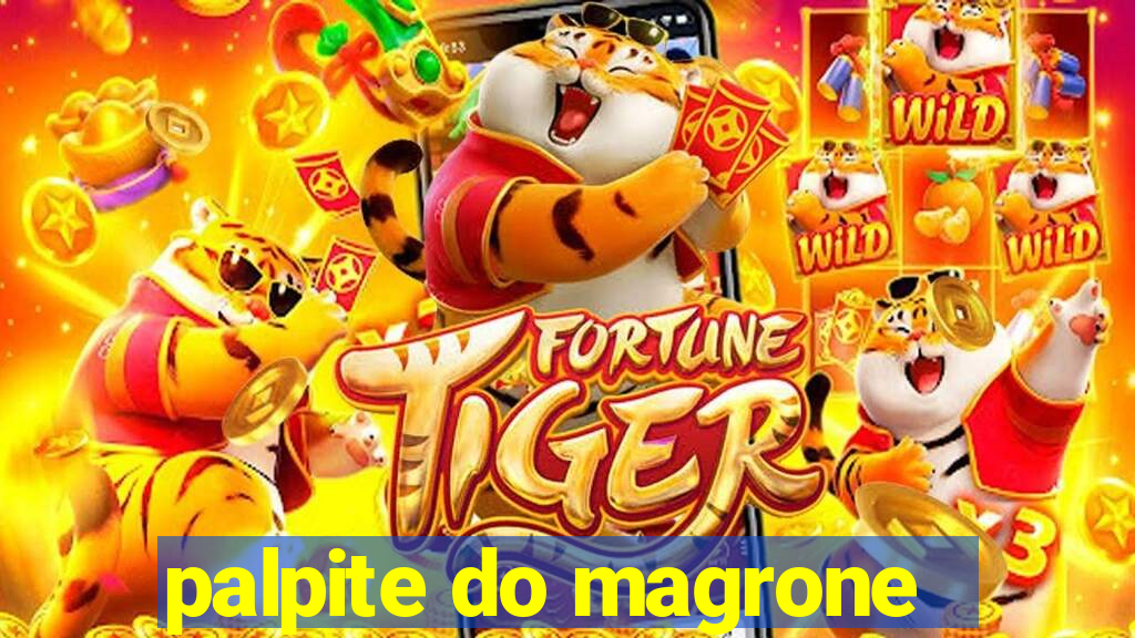 palpite do magrone